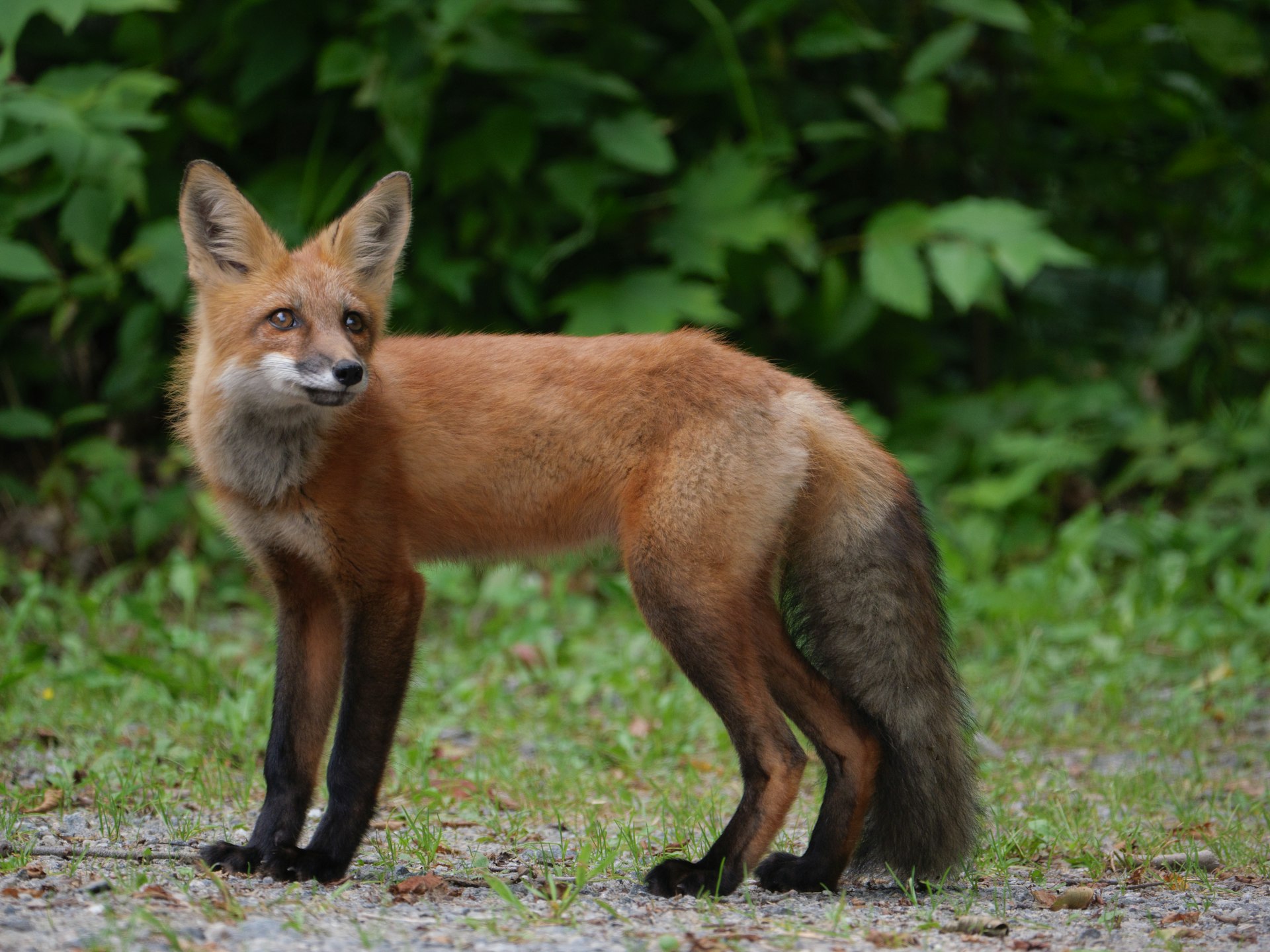 Severe Storms and National Headlines: What Happened in Louisiana Yesterday